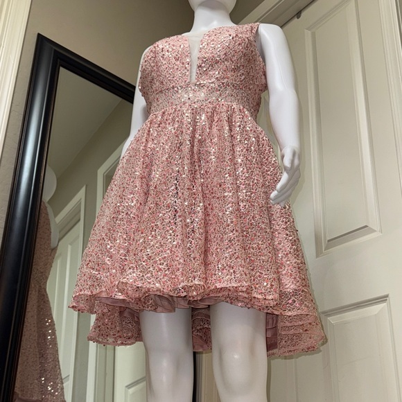 Sparkling Pink Mini Dress - Picture 6 of 10